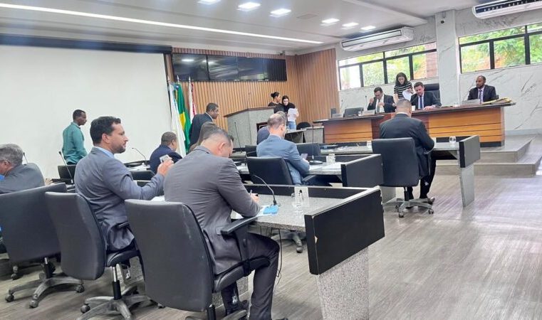 Grupo Fada debate inclusão de pessoas com Síndrome de Down na Câmara de Itabira