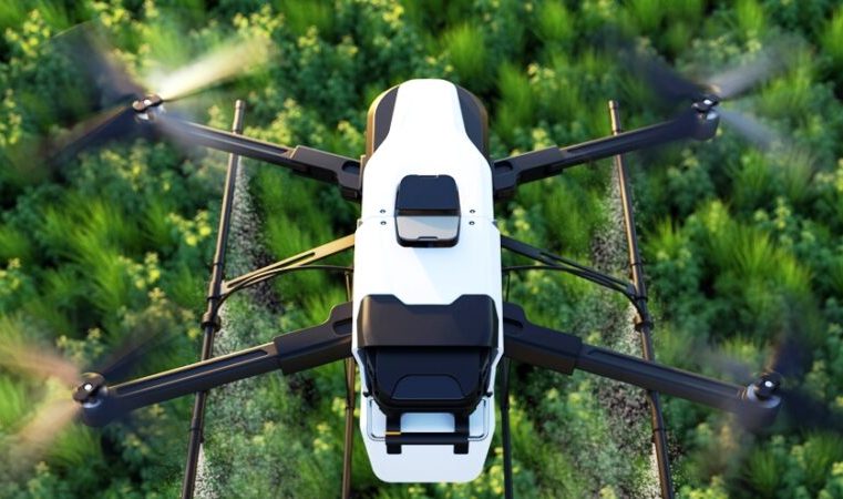 Soluções tecnológicas têm auxiliado o setor do agro