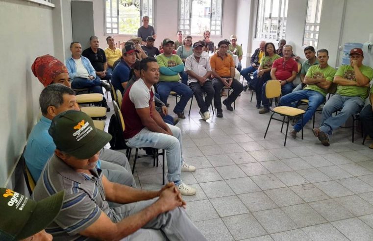 Itabira ganha a “Abanita”, Associação dos Produtores de Banana