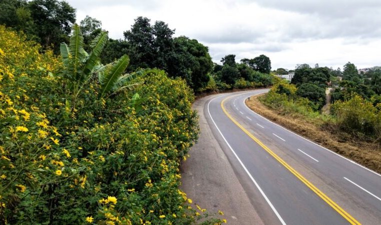 Concessionária “Nova 381” faz parte de ação voluntária de sustentabilidade corporativa