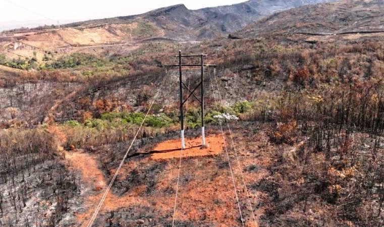 Alerta: apenas em 2025, 1.896 alertas de incêndio próximos à rede elétrica