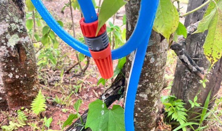 Saae comunica alterações no abastecimento de água no bairro Campestre