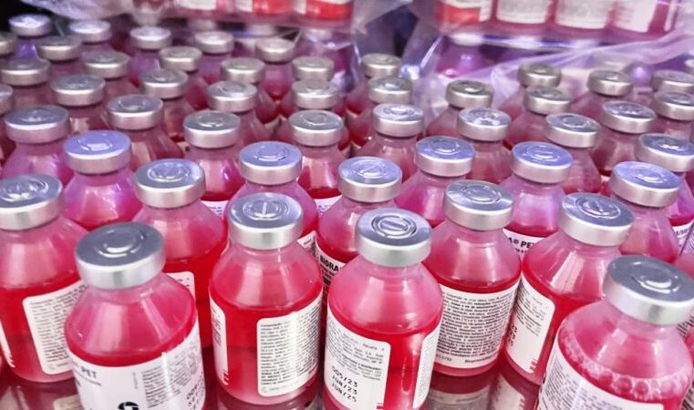 Saiba onde imunizar seu pet no Dia D de Vacinação Antirrábica: 28 pontos descentralizados