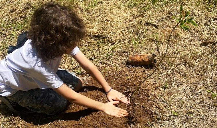 Itabira: oficinas, palestras, trilhas e cinema no parque na “Semana da Árvore”