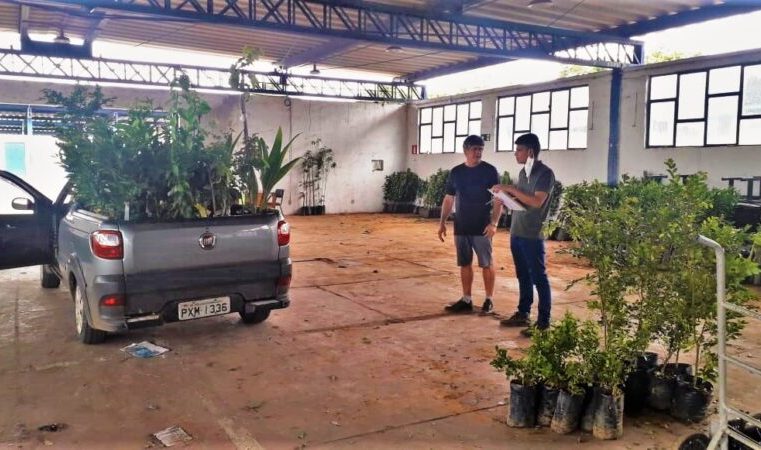 Prazo final para produtores demonstrarem interesse nas compras coletivas de plantas frutíferas