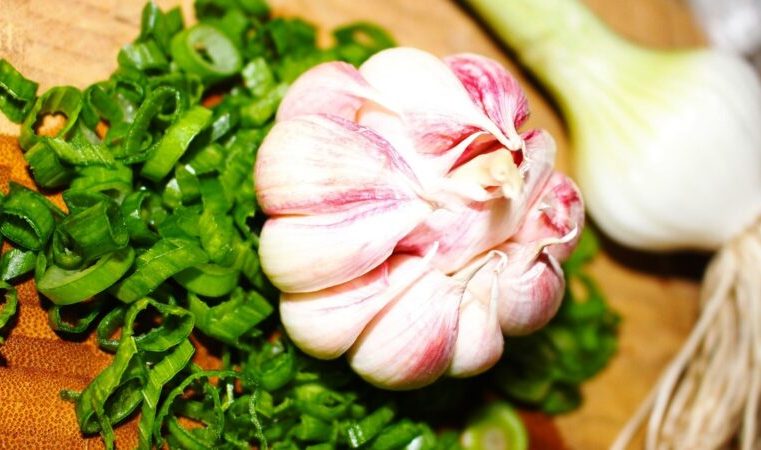 Docente do Senac compartilha segredos de chefs em receitas e preparos aromáticos