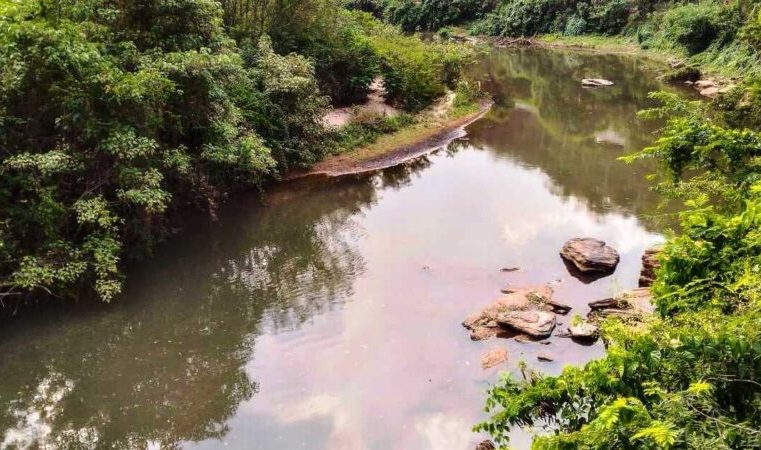 Iniciativa Rio Vivo visa incentivar medidas de proteção em nascentes em Itabira