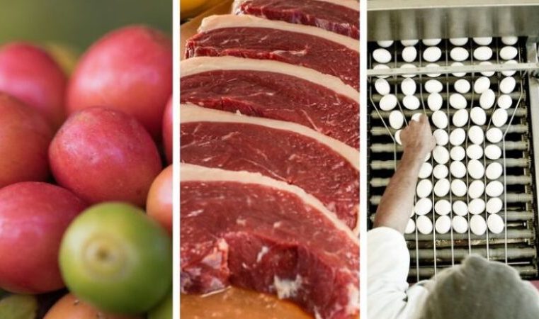 Agronegócio bate recorde histórico no Estado: US$ 18,1 bilhões em exportações