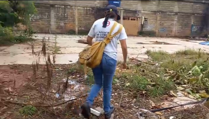 Minas Gerais segue em alerta contra a dengue. Estado continua vulnerável à doença