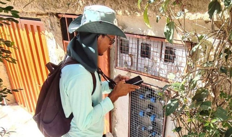 Começa a chegar aos consumidores novo modelo da fatura de energia elétrica