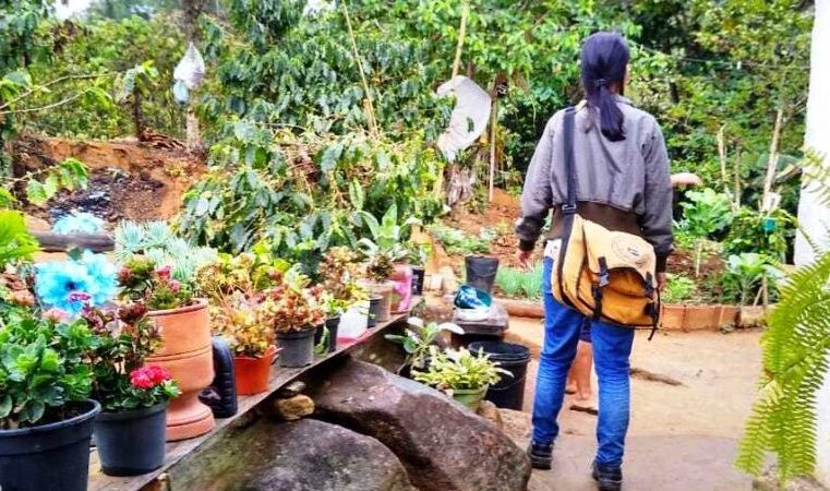 “Minas Unida Contra o Aedes”: Itabira reforça combate ao vetor e amplia vacinação