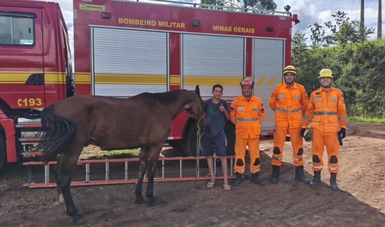 Corpo de Bombeiros retira equino de fossa próxima à bacia do Rio de Peixe