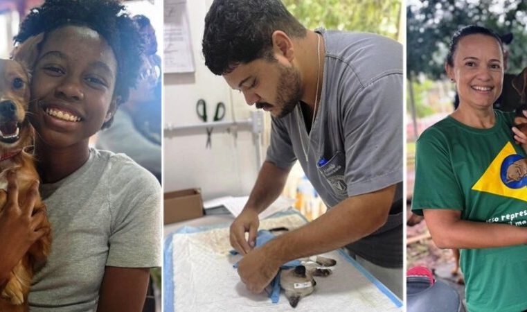 Itabira: confira o balanço do programa municipal de proteção e bem-estar animal