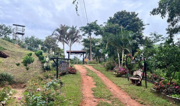 Parque Estadual Mata do Limoeiro conta com guia de atrativos naturais