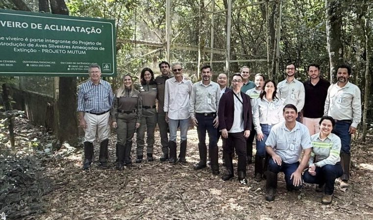 Após meio século, jacutinga volta a ser registrada no Parque Estadual do Rio Doce, informa a Cenibra