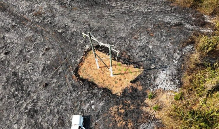 Incêndios em áreas de vegetação provocaram quase 800 ocorrências no sistema elétrico
