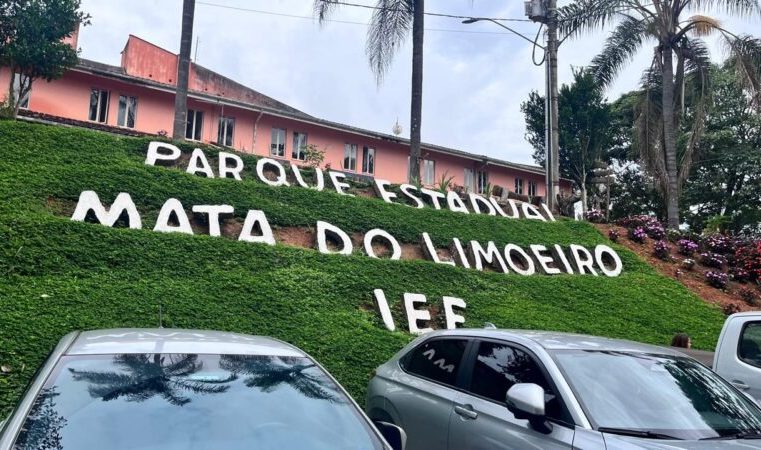 Obra resgata trajetória de conservação ambiental do Parque Estadual Mata do Limoeiro