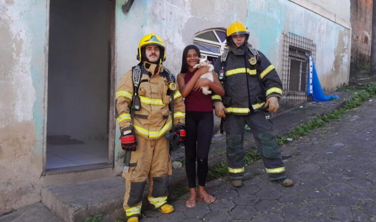 Todas as vidas importam: Bombeiros salvam pet durante princípio de incêndio em Itabira