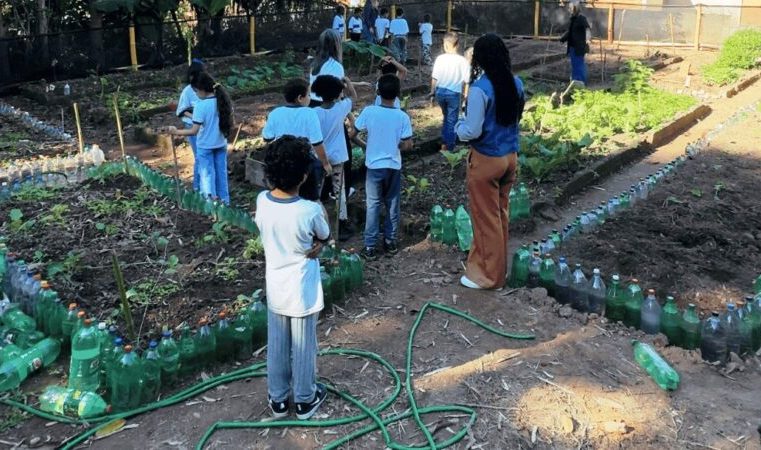 Incentivando cultivo e compostagem, o projeto Mãos à Horta será ampliado