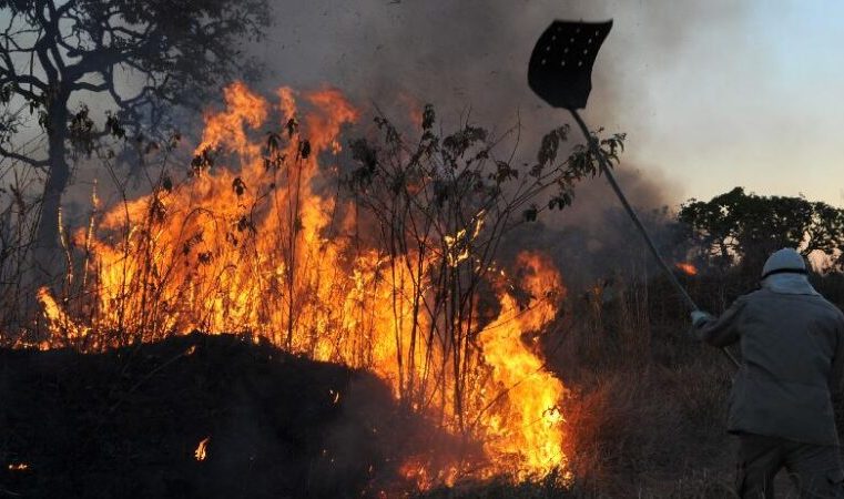 Itabira combate às queimadas com fiscalização e capacitação da brigada municipal