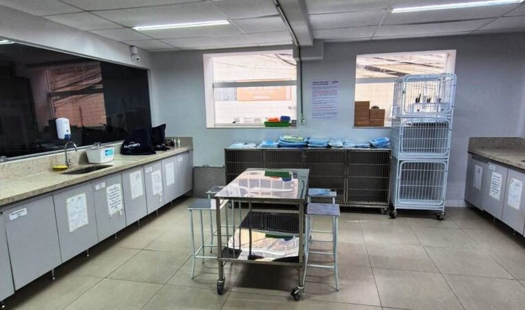 Férias Escolares: Clínica Veterinária da Una Itabira mantém atendimento social a pets