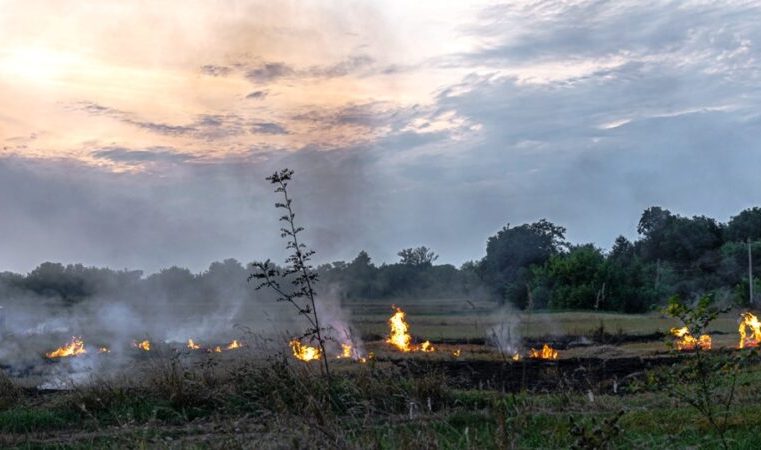 Especialista da Una explica que El Niño pode provocar queimadas em Minas Gerais