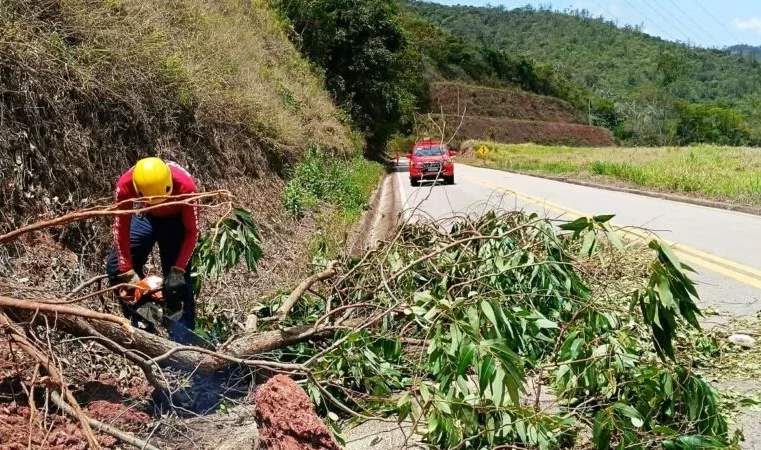 Mitigação de risco: Bombeiros desobstruem rodovia após queda de árvores